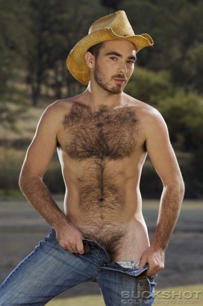 deb conley like hairy chested nude men photo donald bryans recommends hairy chested nude men pic