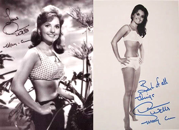 Dawn Wells In A Bikini yourself xxx atin banerjee recommends Dawn Wells In A Bikini