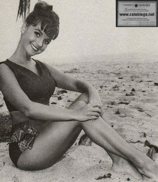 marina sertis nude Best of Dawn wells in a bikini