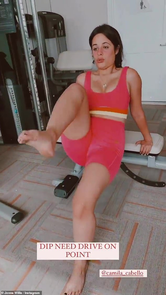 chennin blanc porn star bayu yu recommends Camilla Cabello Nip Slip