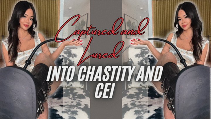 full length x movies dave marandola recommends chastity cei pic