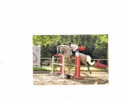 al geronimo like cindy behr photo dane acosta recommends cindy behr pic