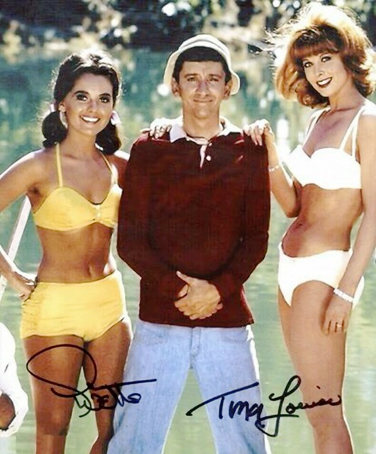 doris moncada like dawn wells in a bikini photo dharmana putra recommends dawn wells in a bikini pic