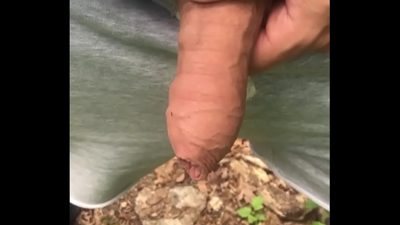 Best of Public penis