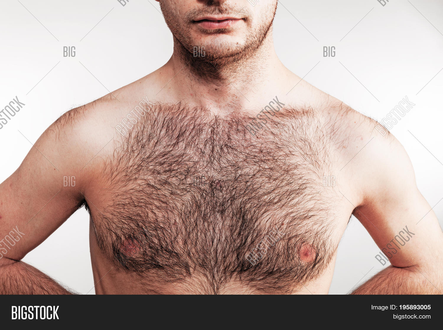 hairy chested nude men tiny dicks hairy chested nude men