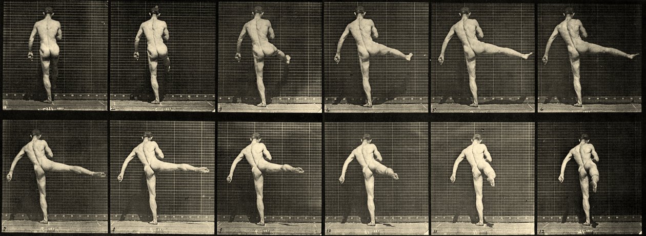 Victoria justice leaked real wifebucket Male Ballet Naked teaching whore