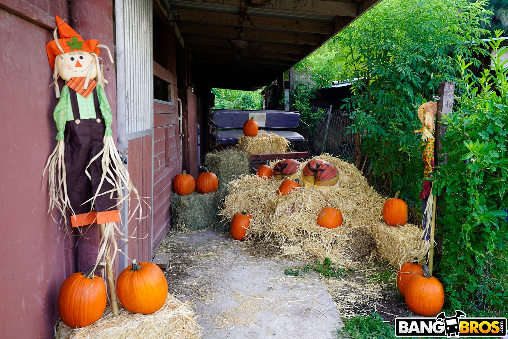 arunabha roy recommends pumpkin ass porn pic